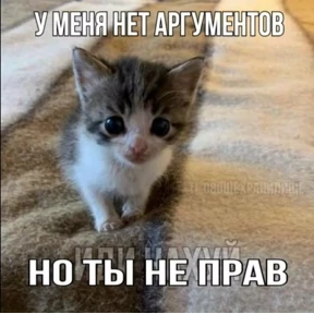 Кошаки №97