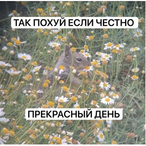 База 126 №59