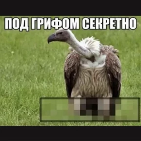 Дианское №24