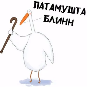 ГусИгорь №12