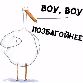 ГусИгорь №19