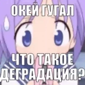 Мяуляция №26