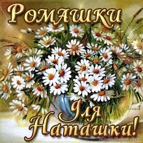 Мило №20