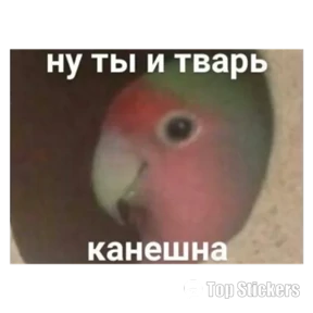 New №19