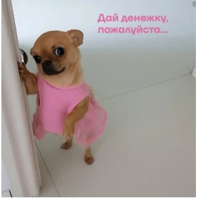 Мои №1