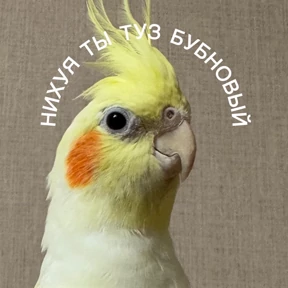 Мои №7