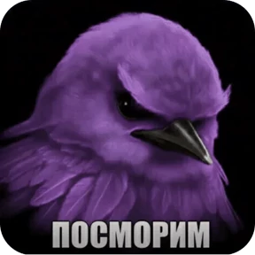 Вряд-ли №13