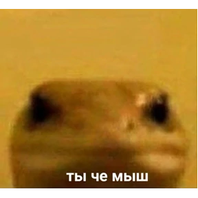 На случай важных переговоров №4