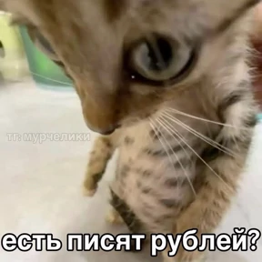 Опа №6