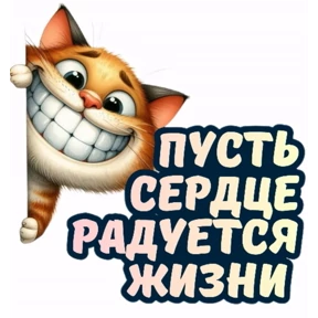 Доброе утро №16