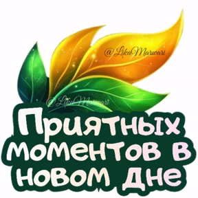 Доброе утро №17
