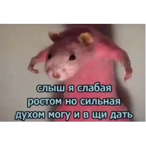 Ха №24