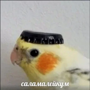 Мы №4