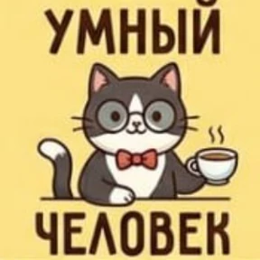 коты в МАКС  neirosetcat №7
