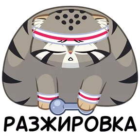 Манул Тимофей №15