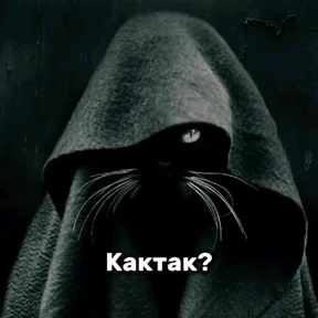 Окак №10