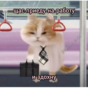 резедулькины переговоры №45