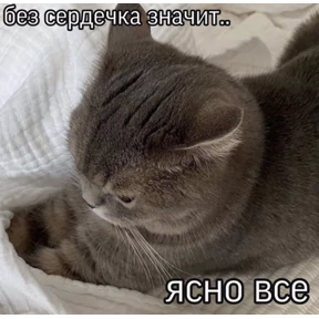 Моё №5