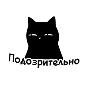 Пресс-кот №12