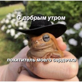 Стики1 №6