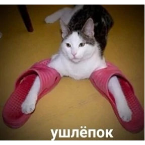 Набор 1 №37