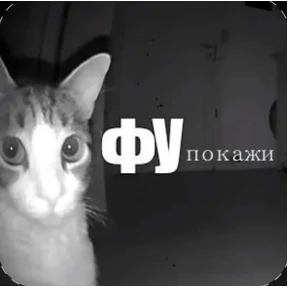 @pupupu №6