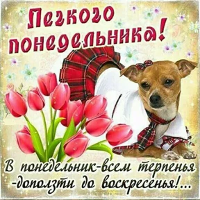Пожелания хорошего дня №10