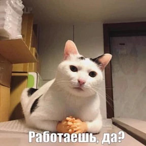 Мой набор №15