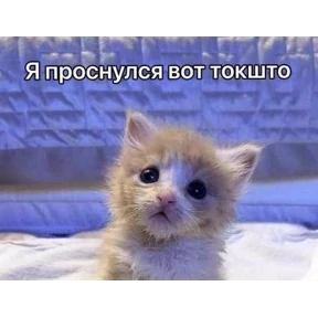meme №4