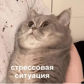 три крысы №4