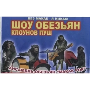 Обезьяны №18
