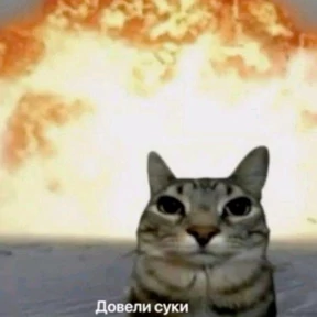 Кукич №13