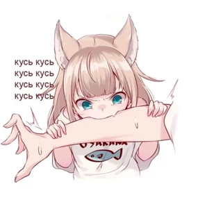 шмекси №54