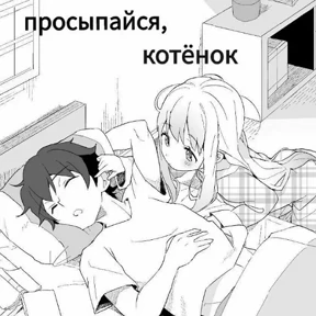 шмекси №92