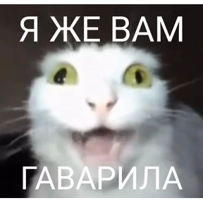 sunshine №25
