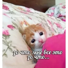 Именно они №25