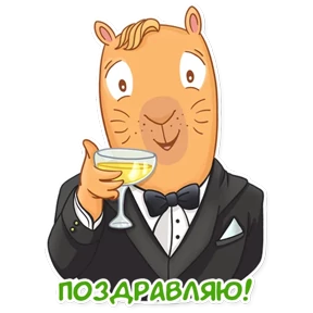 Капи Барри №14