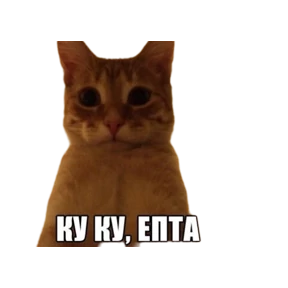 Коты №7