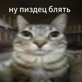 slvkml №1