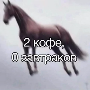rrollfr №12