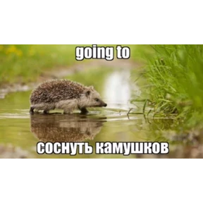 чюпеп №4