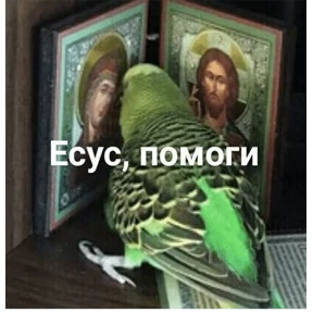 тыыннаах №16