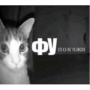 Мяу №8