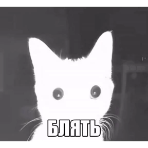 ALEVTINA_BOOST №30