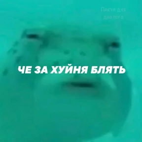 рабочие будни ТСП №14