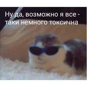 рабочие будни ТСП №51