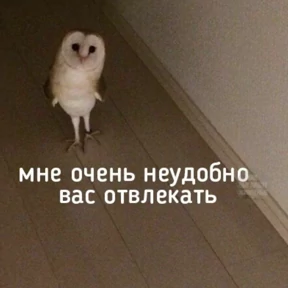 рабочие будни ТСП №52