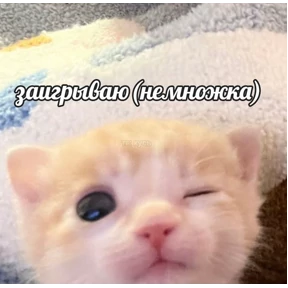 рабочие будни ТСП №71