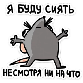 Крис Кристина №15