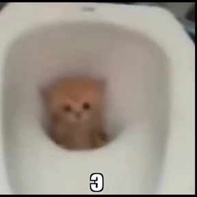 Кэты и пэсы №1